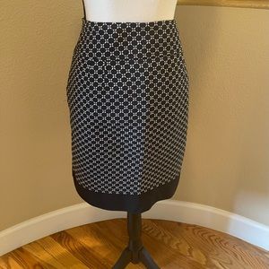 Ann Taylor Skirt